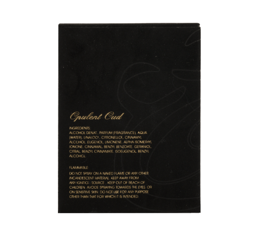 OPULENT OUD 100ml EDP - Image 4